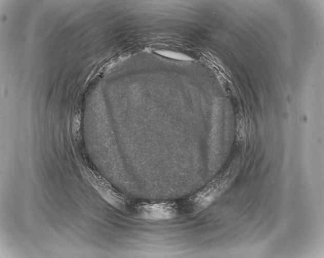 X0000085810365200704091613