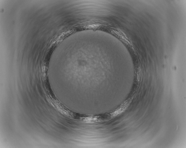 X0000085810366200704091613