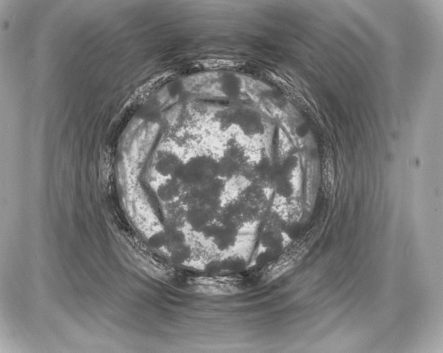 X0000085810367200704091613