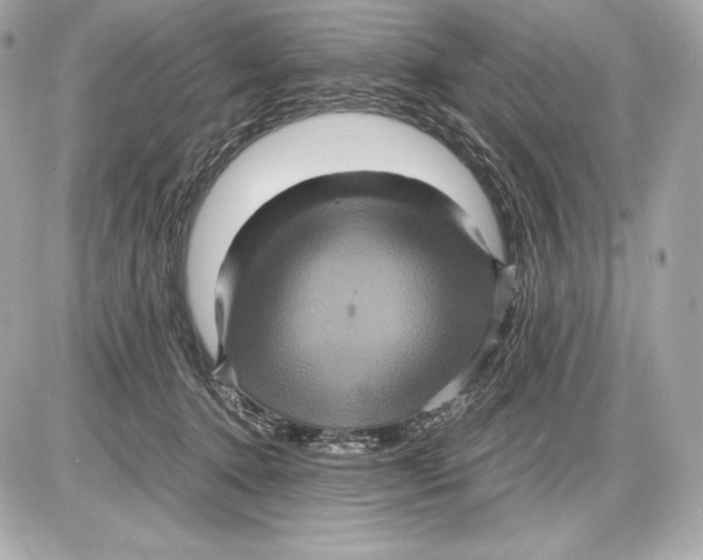 X0000085810368200704091613