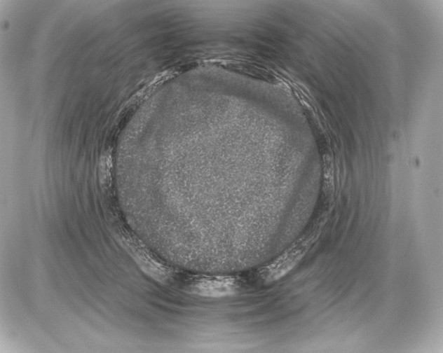 X0000085810369200704091613