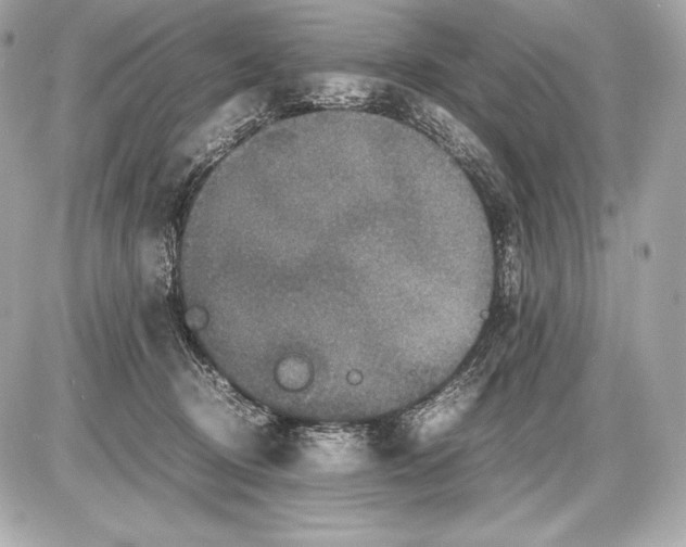 X0000085810370200704091613