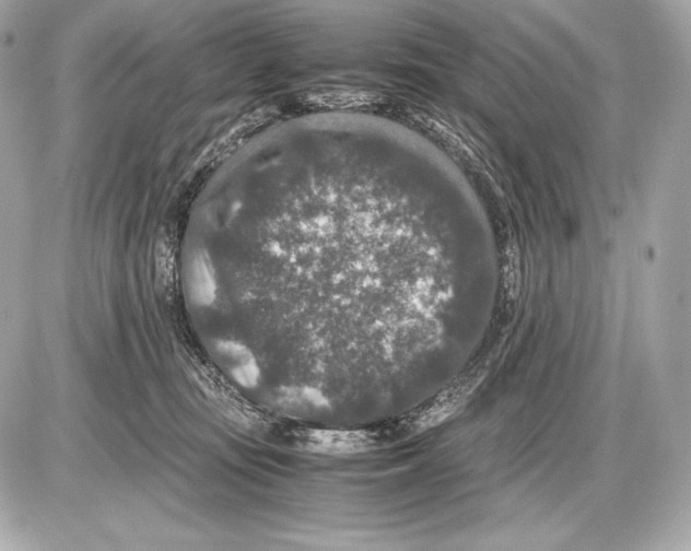 X0000085810371200704091613