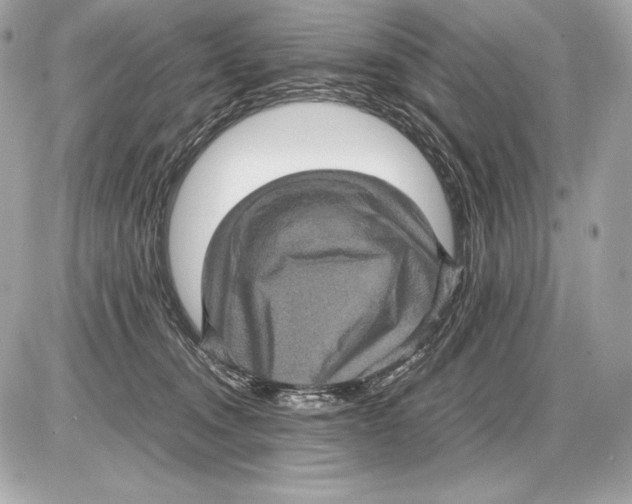 X0000085810372200704091613