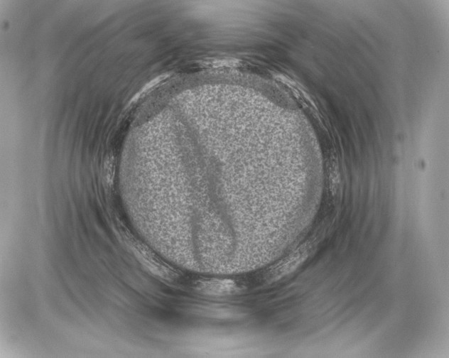 X0000085810374200704091613