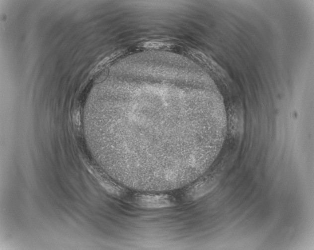 X0000085810375200704091613