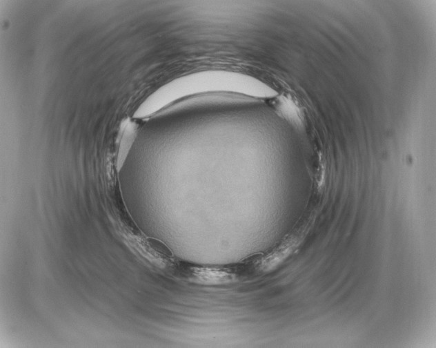 X0000085810380200704091613