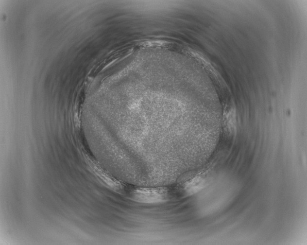 X0000085810381200704091613