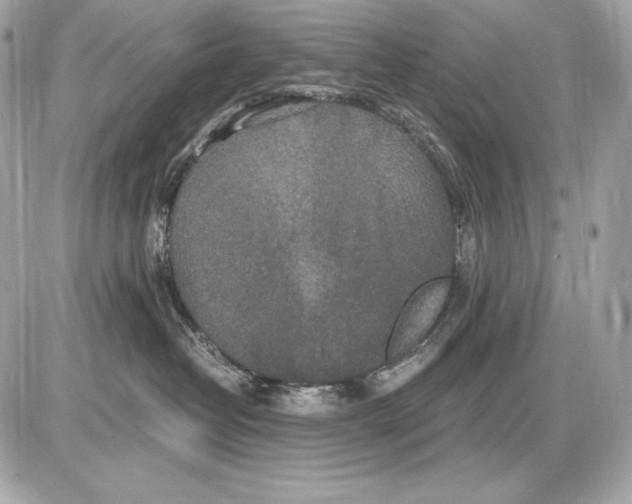 X0000085810382200704091613