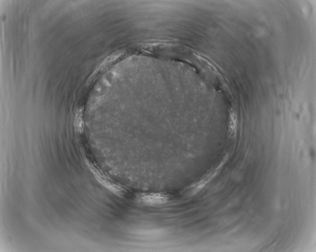 X0000085810383200704091613