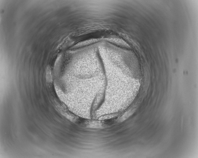 X0000085810384200704091613