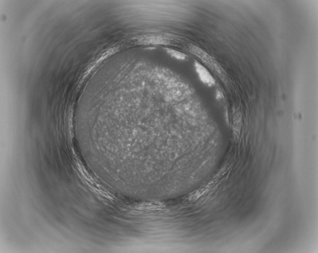 X0000085810386200704091612