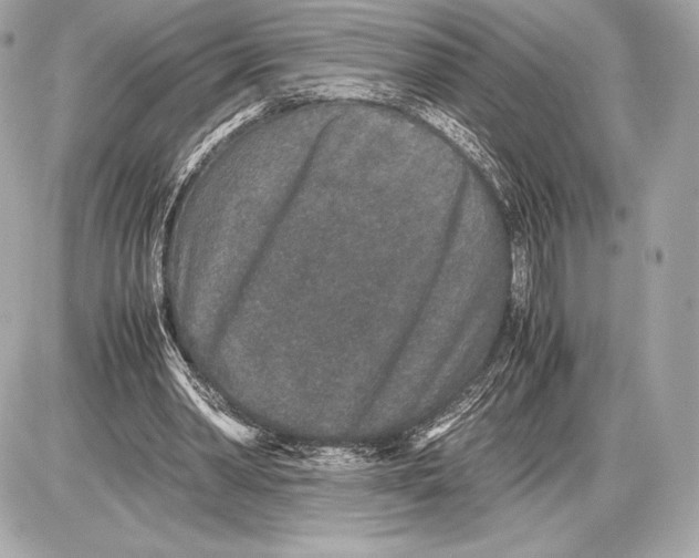 X0000085810390200704091612