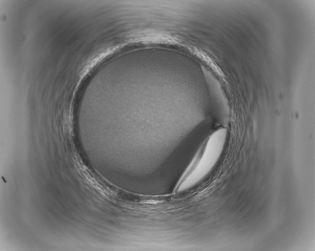 X0000085810391200704091612