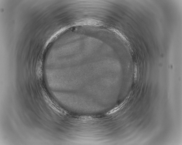 X0000085810392200704091612