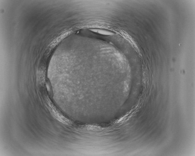 X0000085810393200704091612