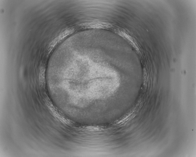 X0000085810394200704091612