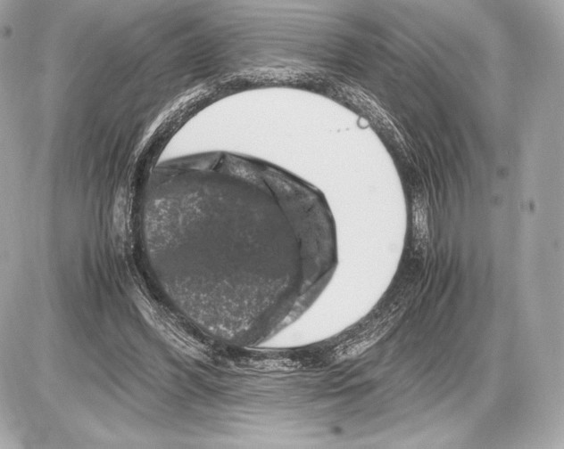 X0000085810396200704091612