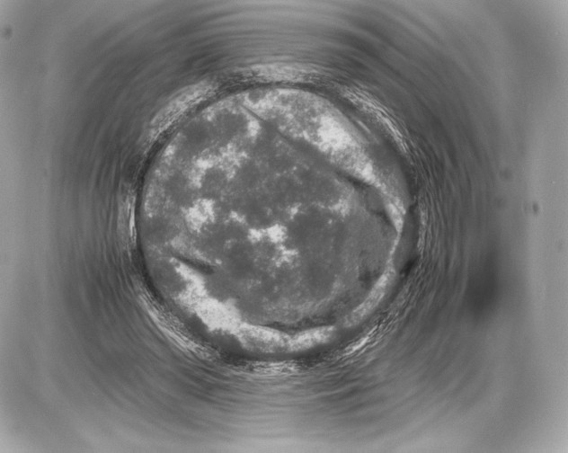 X0000085810398200704091612