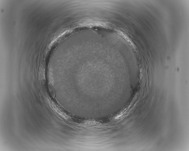 X0000085810399200704091612