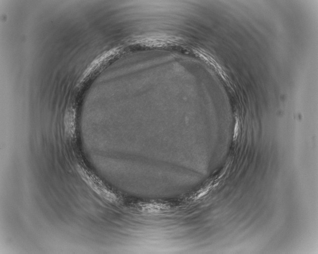 X0000085810400200704091612