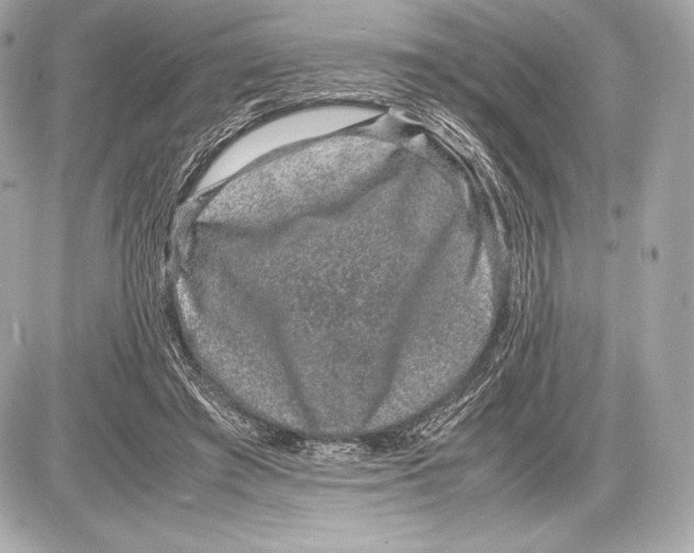 X0000085810401200704091612