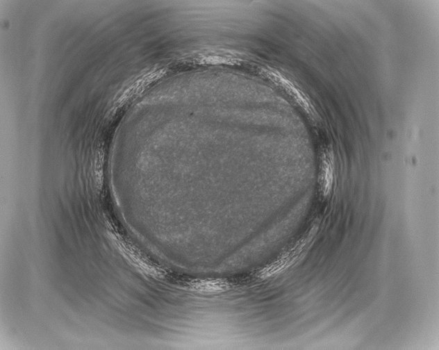 X0000085810402200704091612