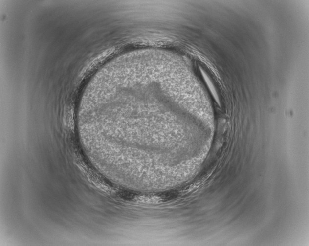 X0000085810403200704091612