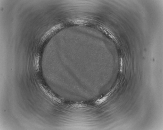 X0000085810404200704091612