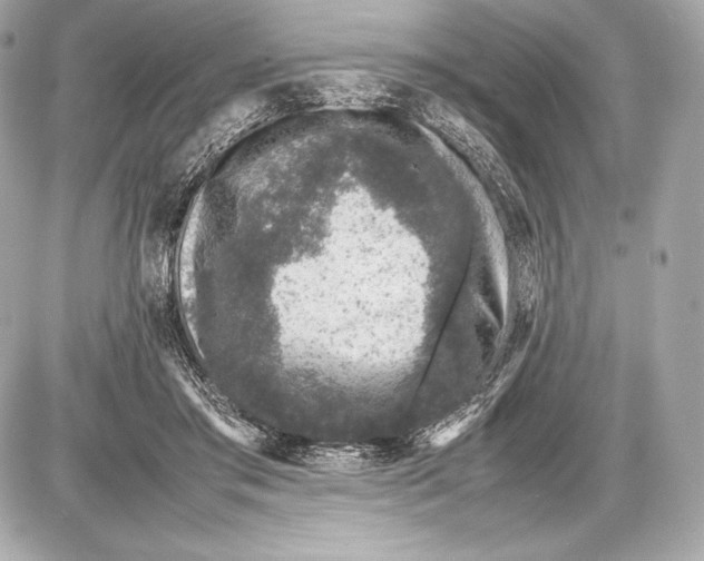 X0000085810405200704091612