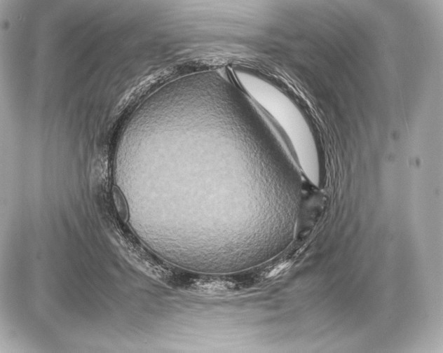 X0000085810407200704091612