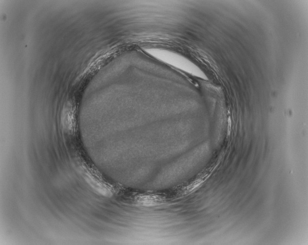 X0000085810408200704091612