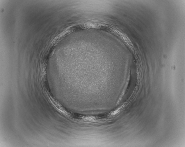 X0000085810409200704091612