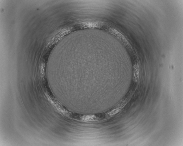 X0000085810410200704091612