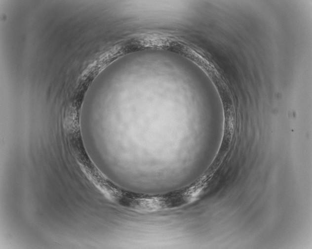 X0000085810411200704091612