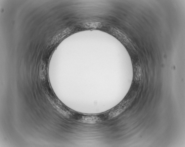 X0000085810414200704091612