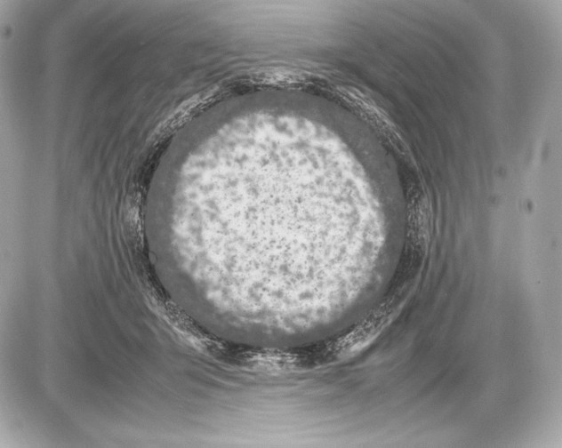 X0000085810415200704091612