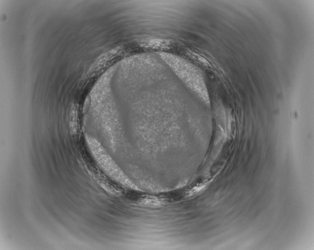 X0000085810416200704091612