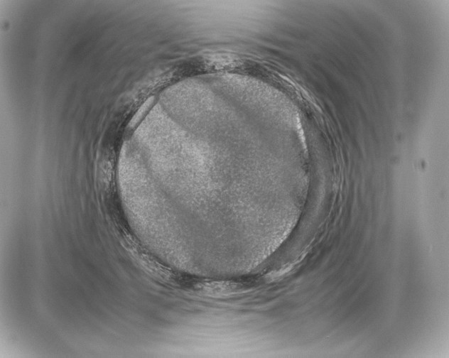 X0000085810417200704091611