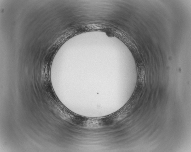 X0000085810418200704091611