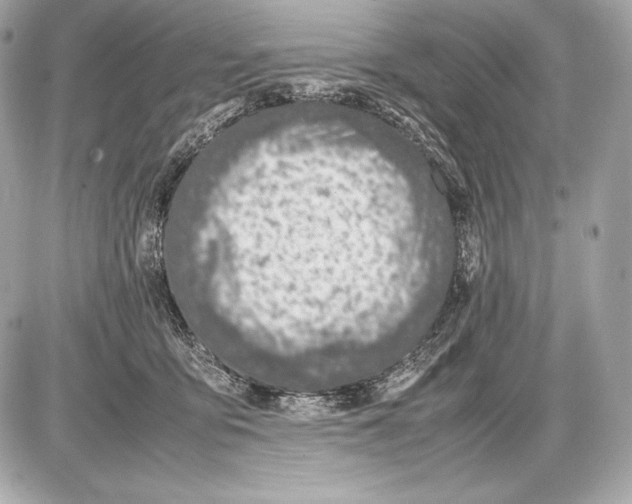 X0000085810419200704091611