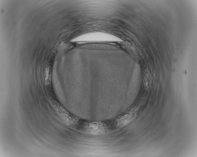 X0000085810420200704091611