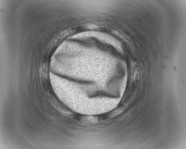 X0000085810421200704091611