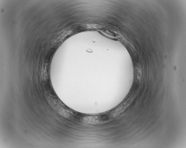 X0000085810422200704091611