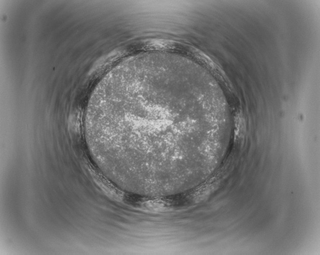 X0000085810423200704091611