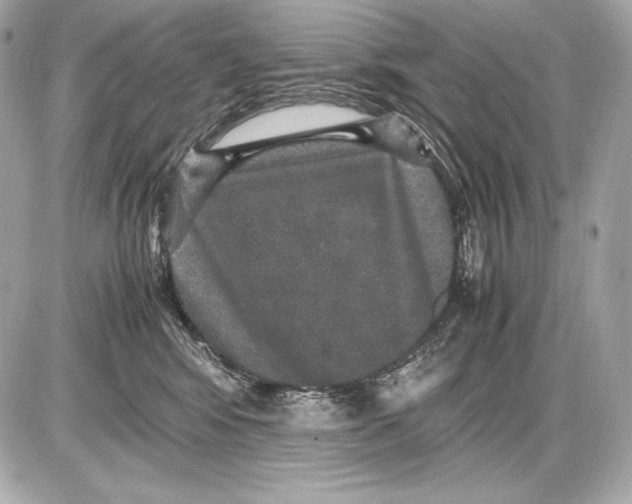 X0000085810424200704091611