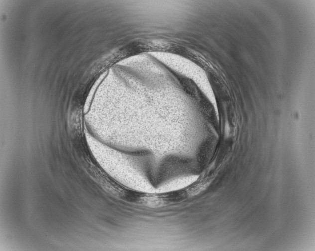 X0000085810425200704091611