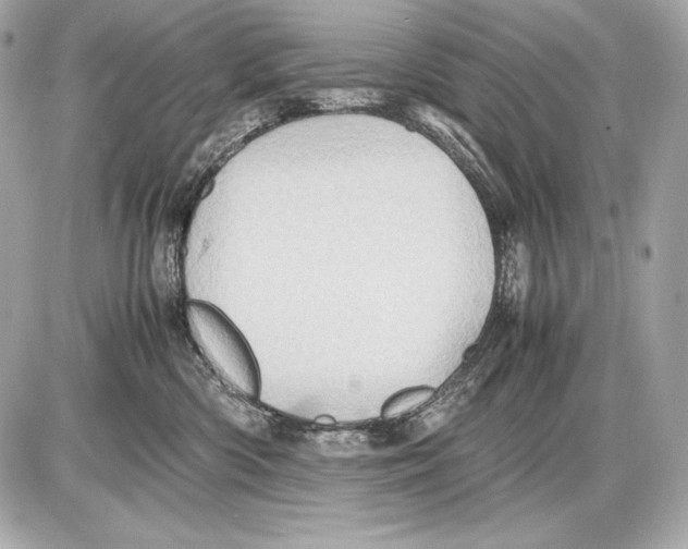 X0000085810426200704091611