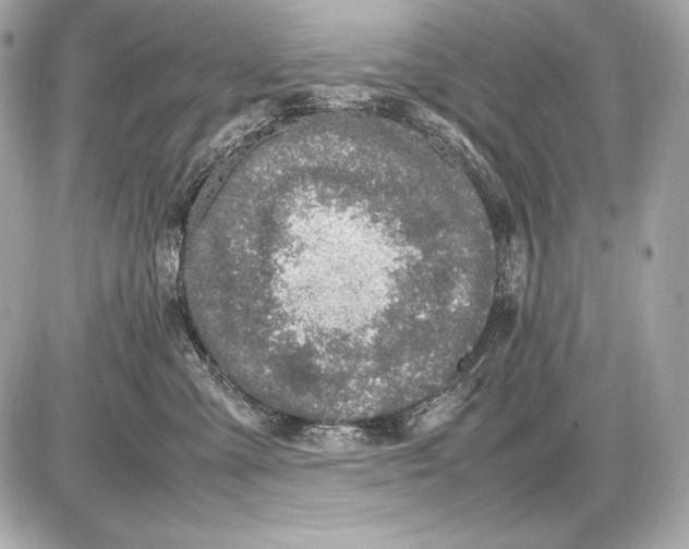 X0000085810427200704091611