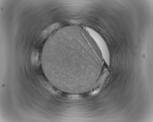 X0000085810428200704091611